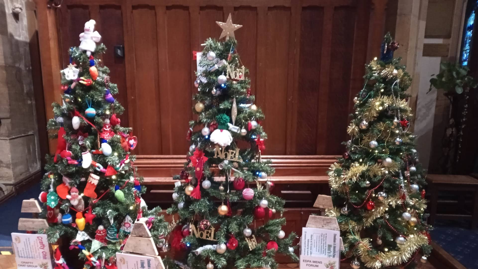 Three trees at Evesham Christmas Tree Festival