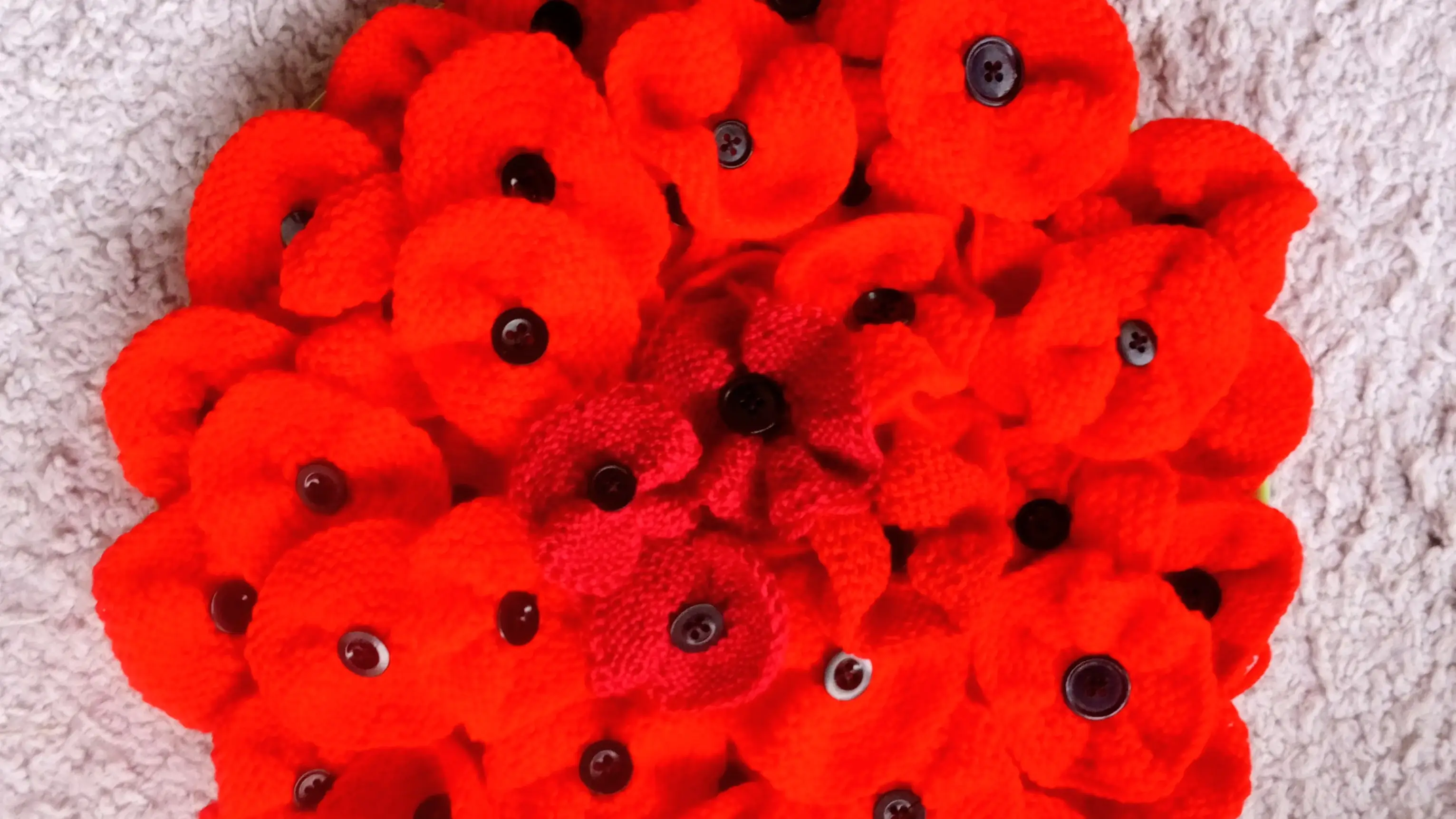 VTN knitted poppies for Remembrance Day 2025